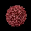 Online CASA Boxwood Palla Di Buxus Rosso