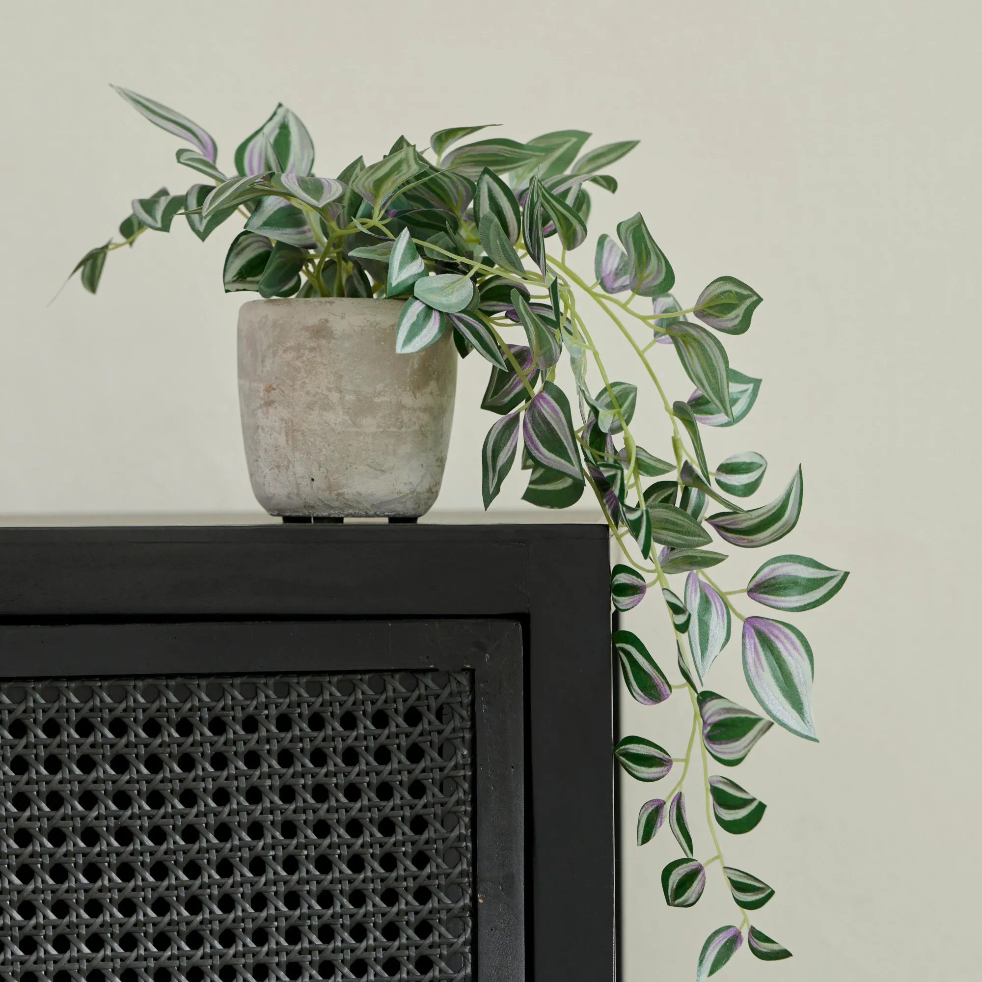Outlet CASA Calathea Pianta Sospesa Grigio, Verde, Viola