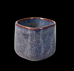 CASA Cassis Purple Tazza Viola