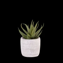 Clearance CASA Cement Pianta Artificiale Grigio