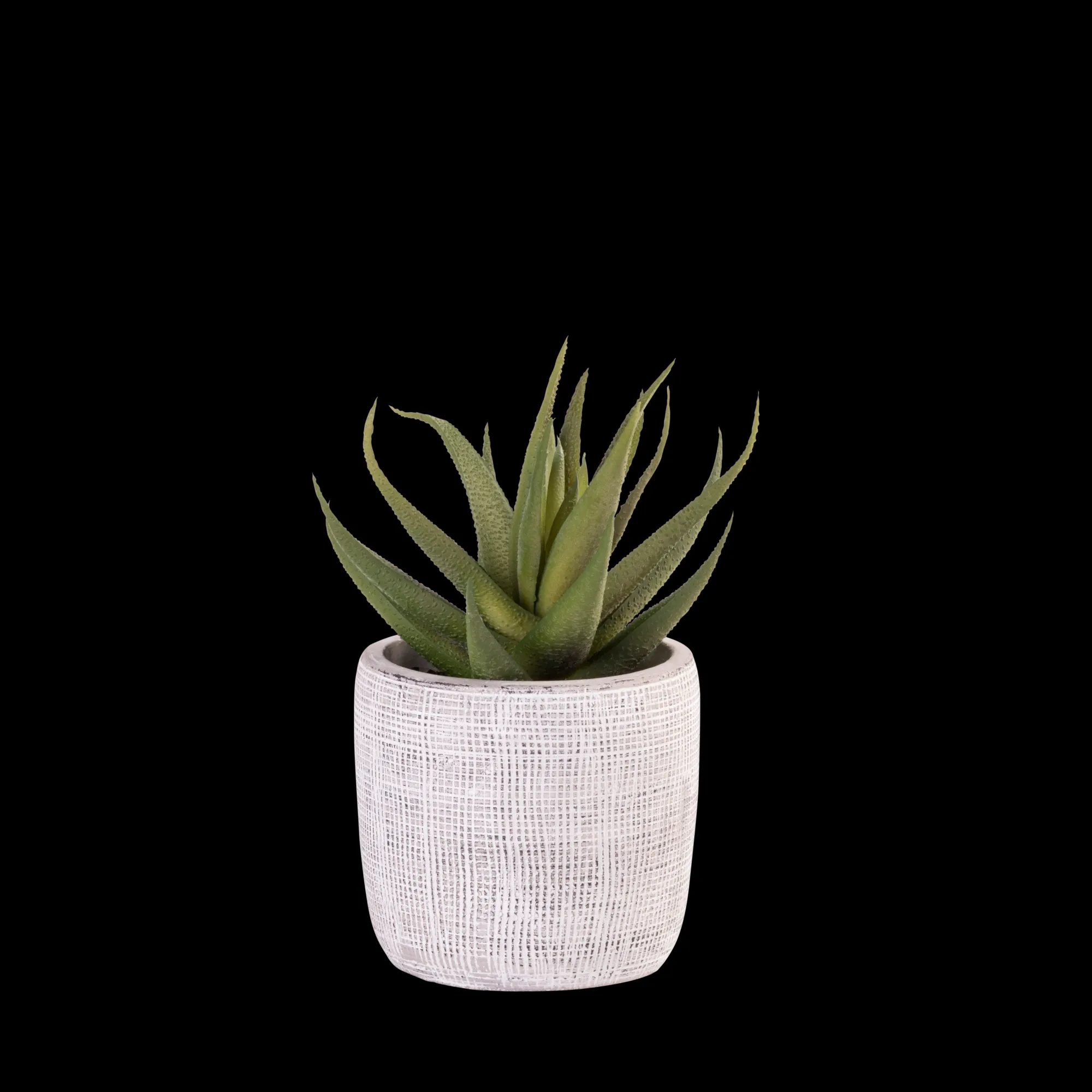 Clearance CASA Cement Pianta Artificiale Grigio