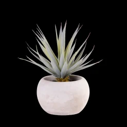 Clearance CASA Cement Succulente Finto In Vaso Grigio