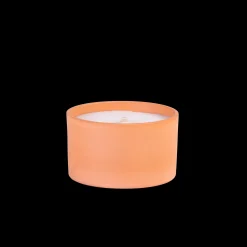 Discount CASA Citronella Vaso Terracotta Bianco, Verde