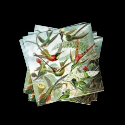 CASA Colibri Set Di 20 Tovaglioli Multicolore