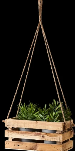 Clearance CASA Crate Cassa Naturale