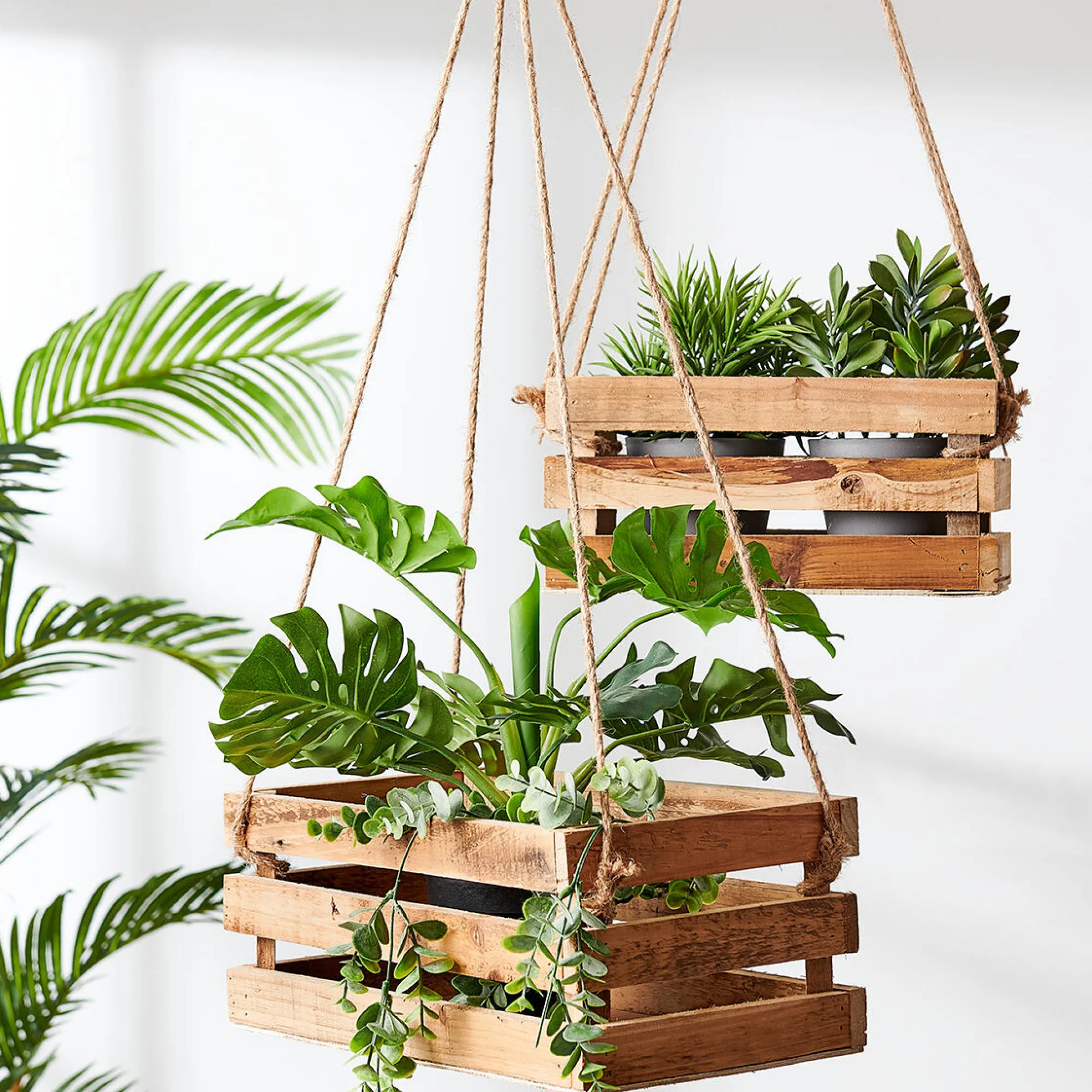 Best CASA Crate Cassa Naturale