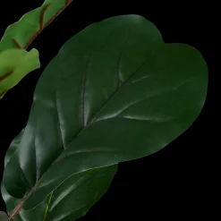 Online CASA Figi Nero, Verde Scuro