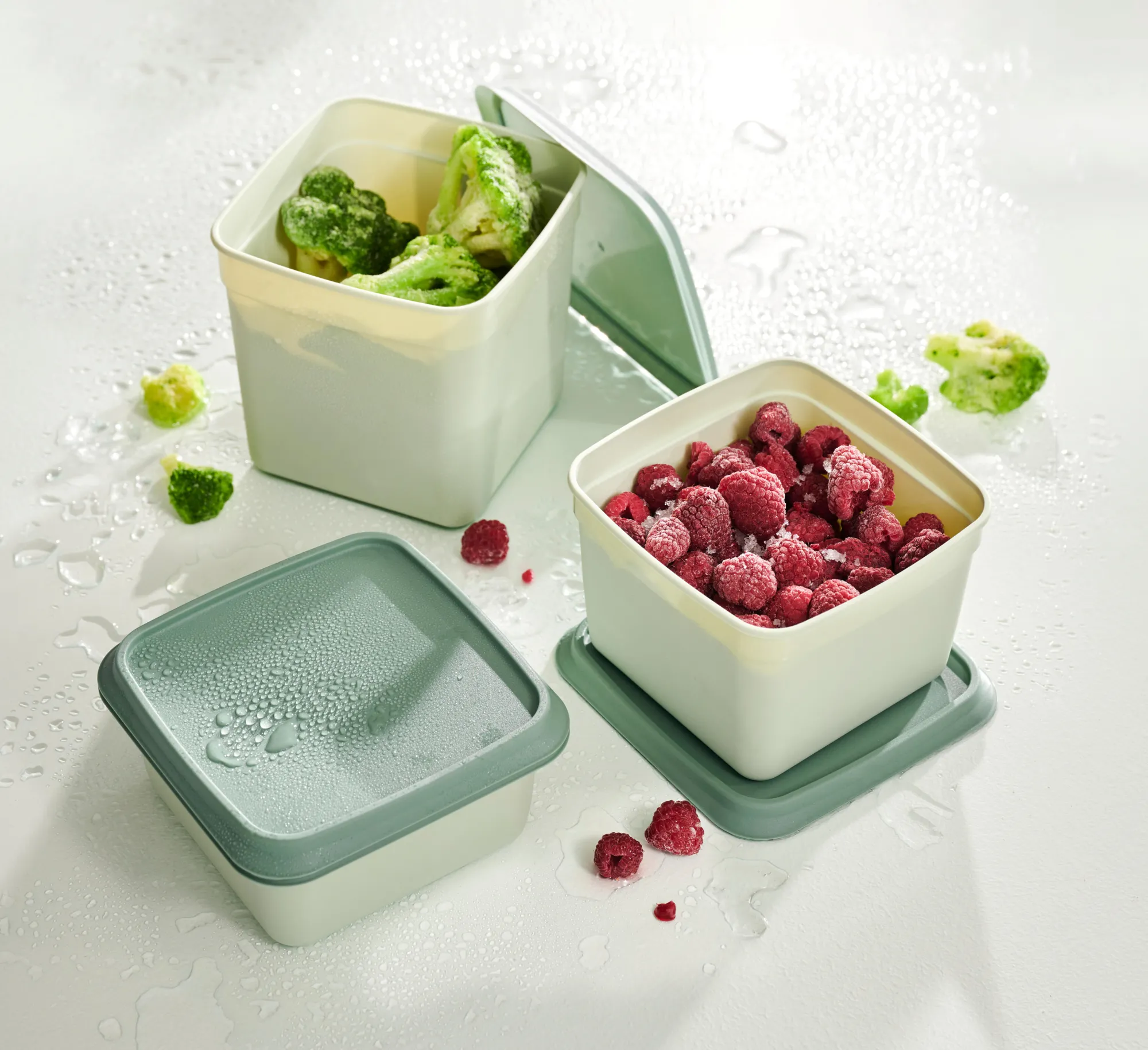 Sale CASA Freezer Scatole X Freezer Set Di 10 Menta, Verde Scuro