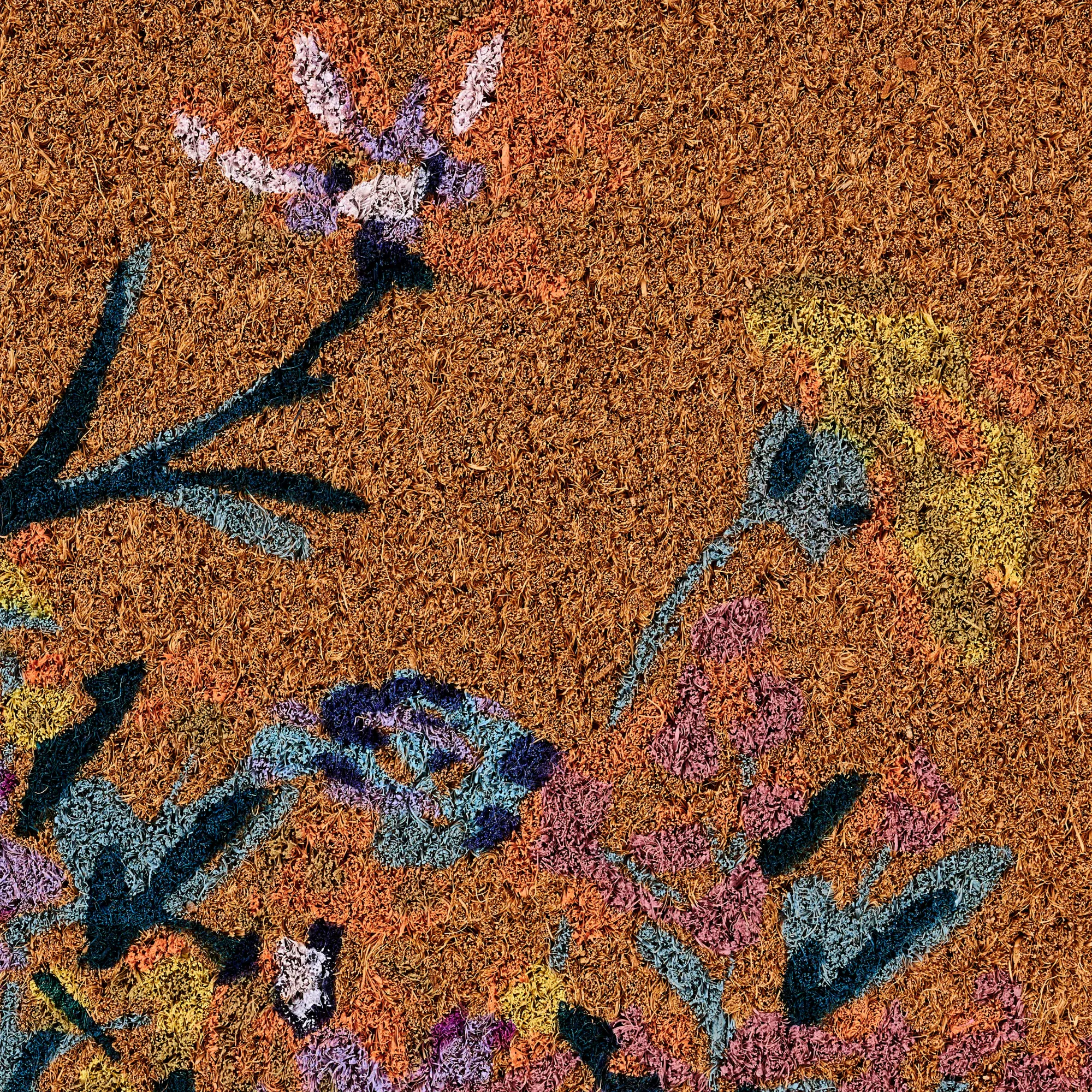 Clearance CASA Fynne Zerbino Multicolore