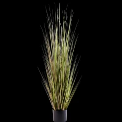 CASA Herba Erba In Vaso H120Cm Verde