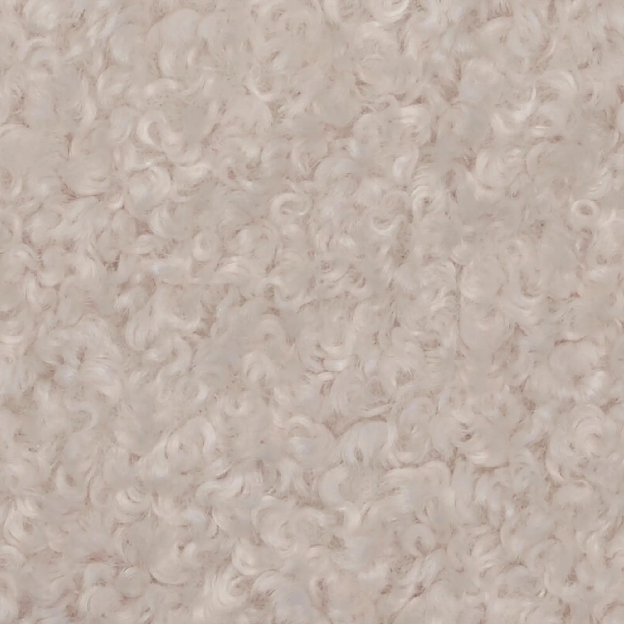 Clearance CASA Hugo Cuscino Bianco