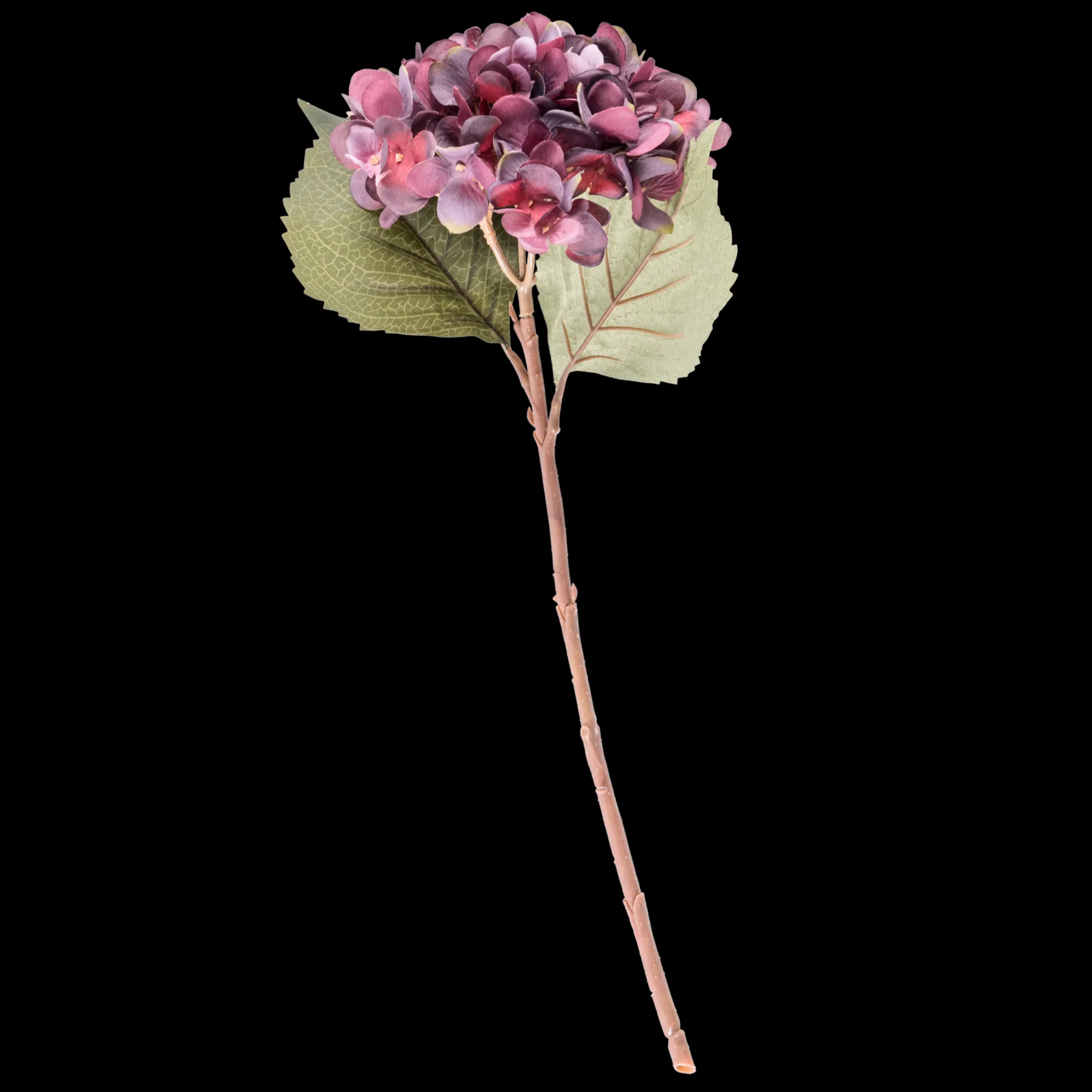 New CASA Hydrangea Ortensia Bordeaux
