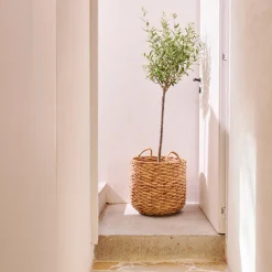 CASA Joni Cesta Naturale