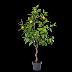 Outlet CASA Lemon Albero Di Limone Verde