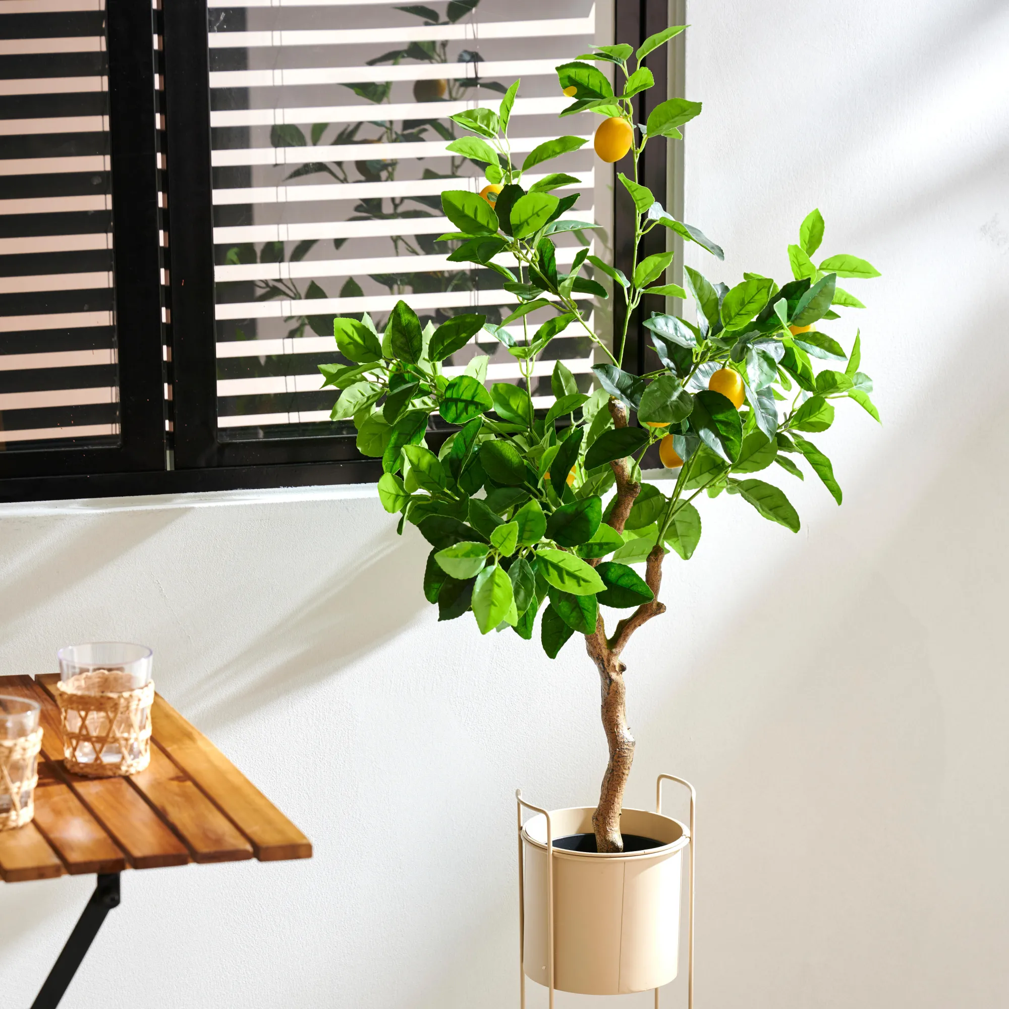 Outlet CASA Lemon Albero Di Limone Verde