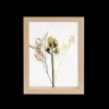 Clearance CASA Limonium Decorazione Da Parete Naturale