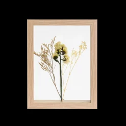 Clearance CASA Limonium Decorazione Da Parete Naturale
