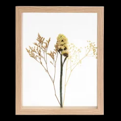 Discount CASA Limonium Decorazione Da Parete Naturale