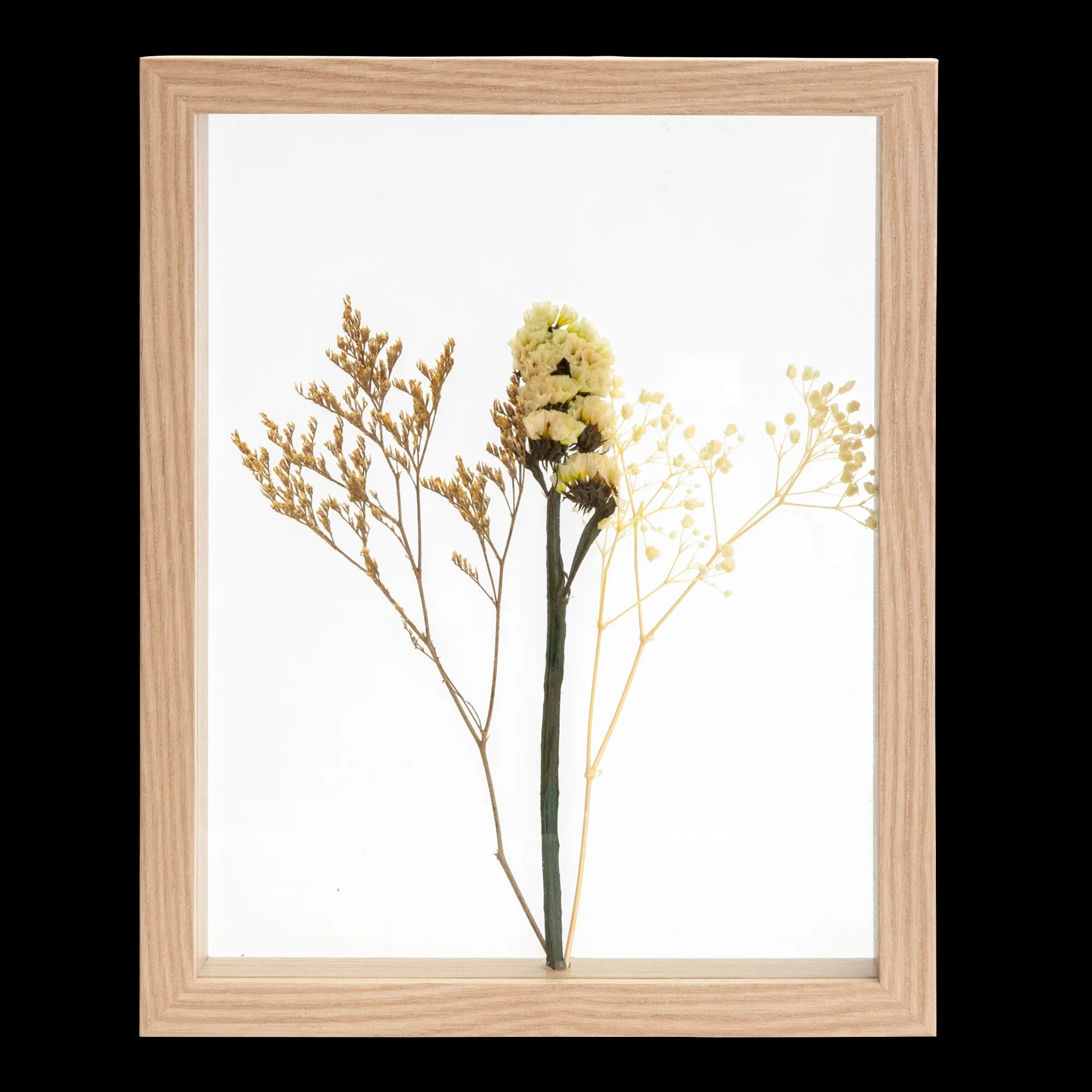 Discount CASA Limonium Decorazione Da Parete Naturale