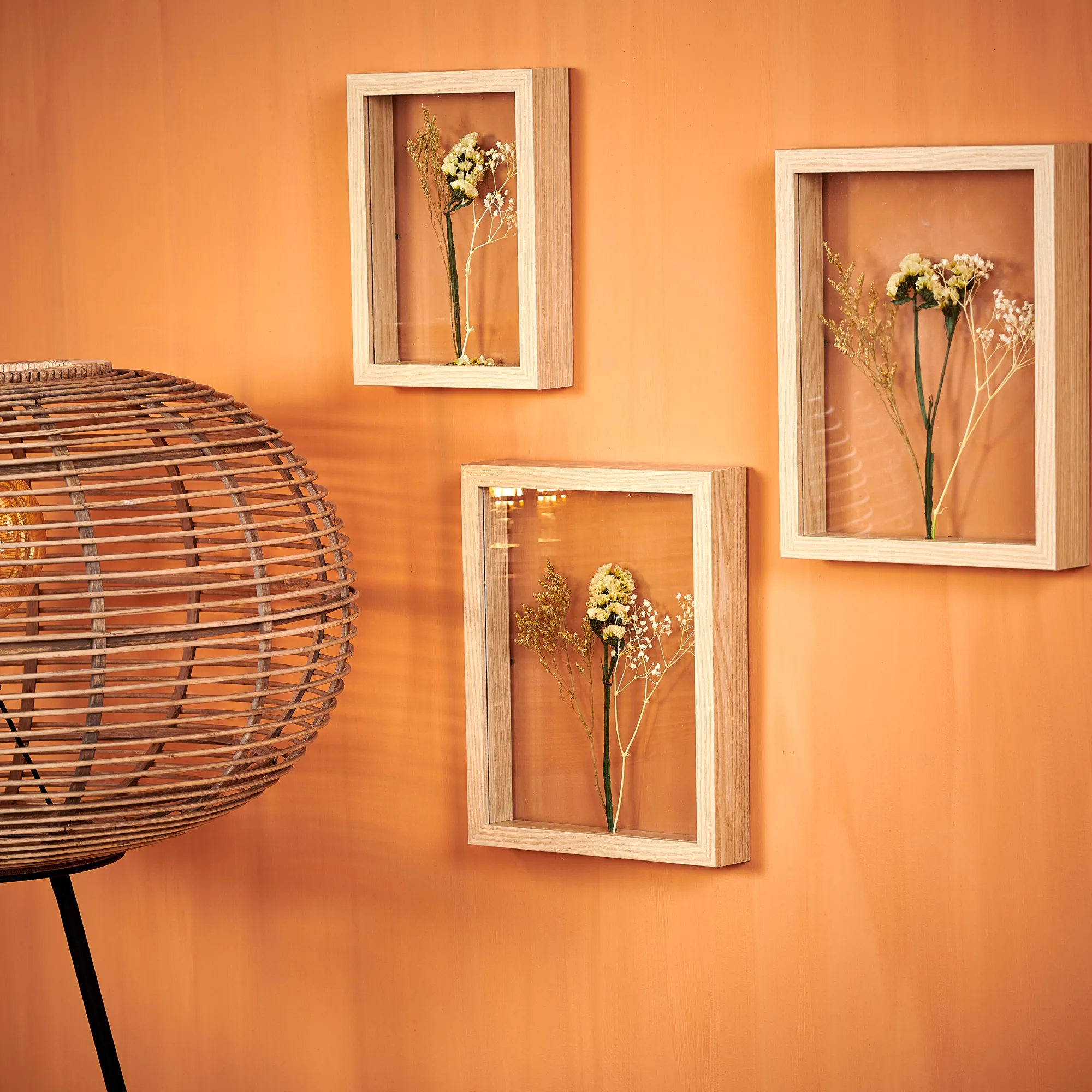 Discount CASA Limonium Decorazione Da Parete Naturale