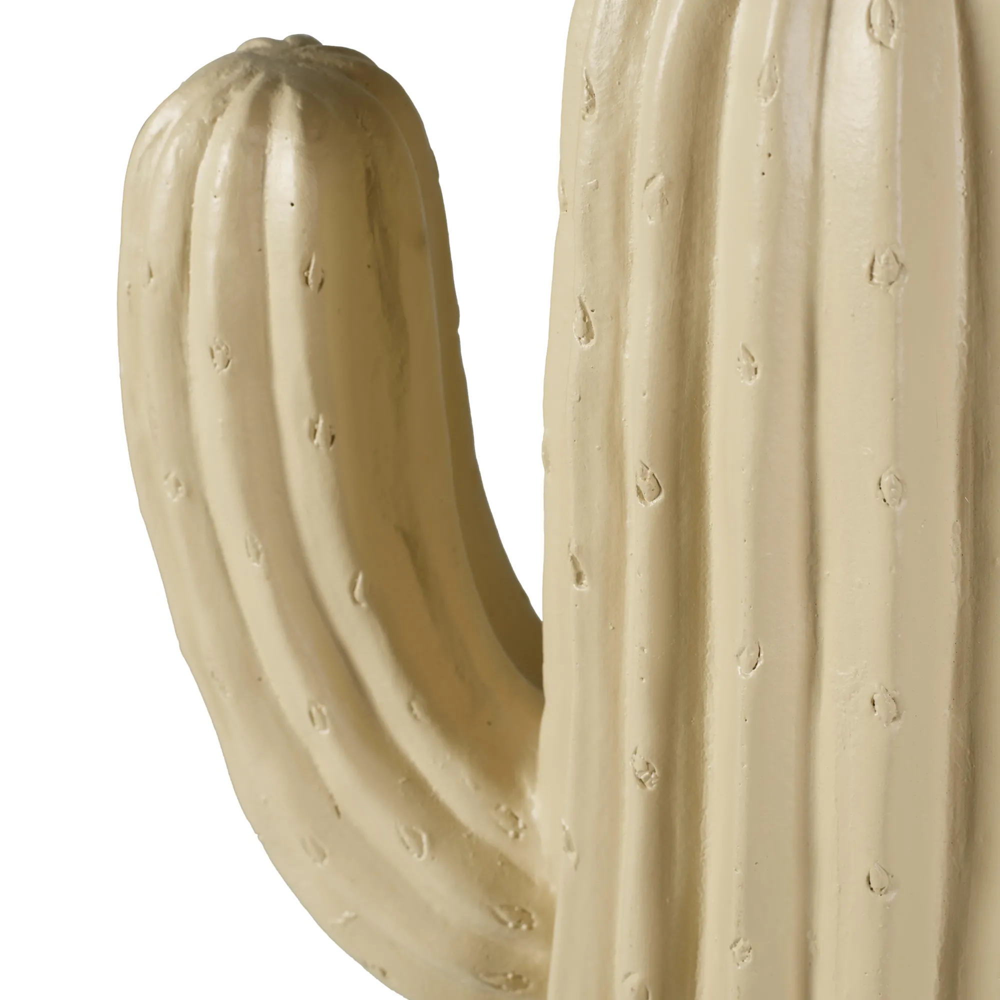 Sale CASA Magnesia Cactus Crema
