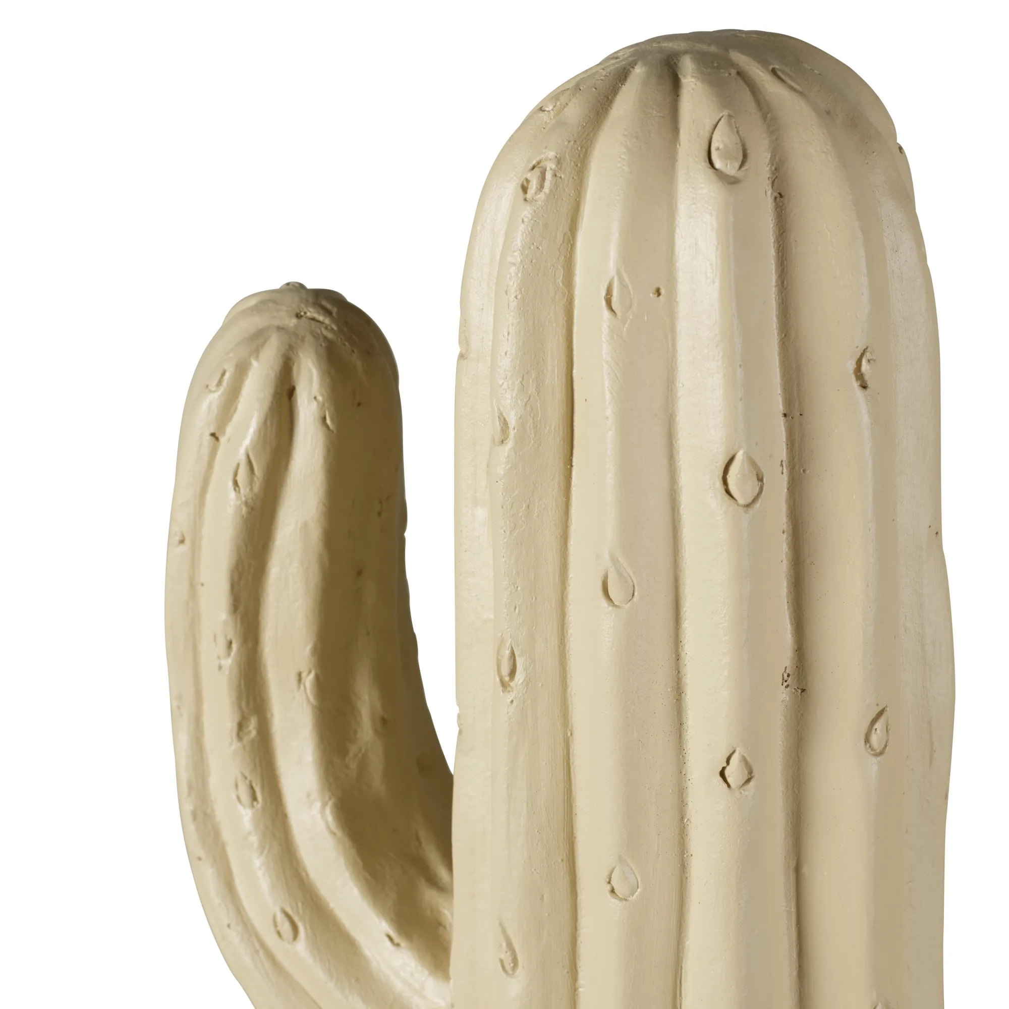 New CASA Magnesia Cactus Crema