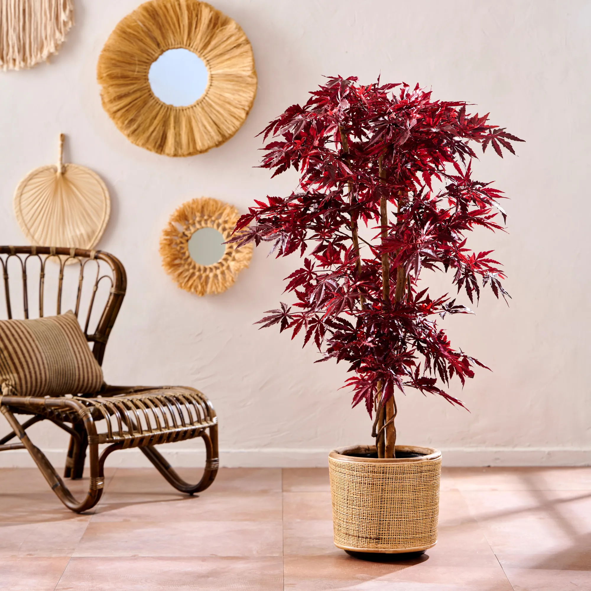 Clearance CASA Maple Pianta Artificiale Vari Colori