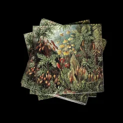 CASA Moss Set Di 20 Tovaglioli Multicolore