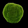 Hot CASA Moss Sfera Di Muschio Verde