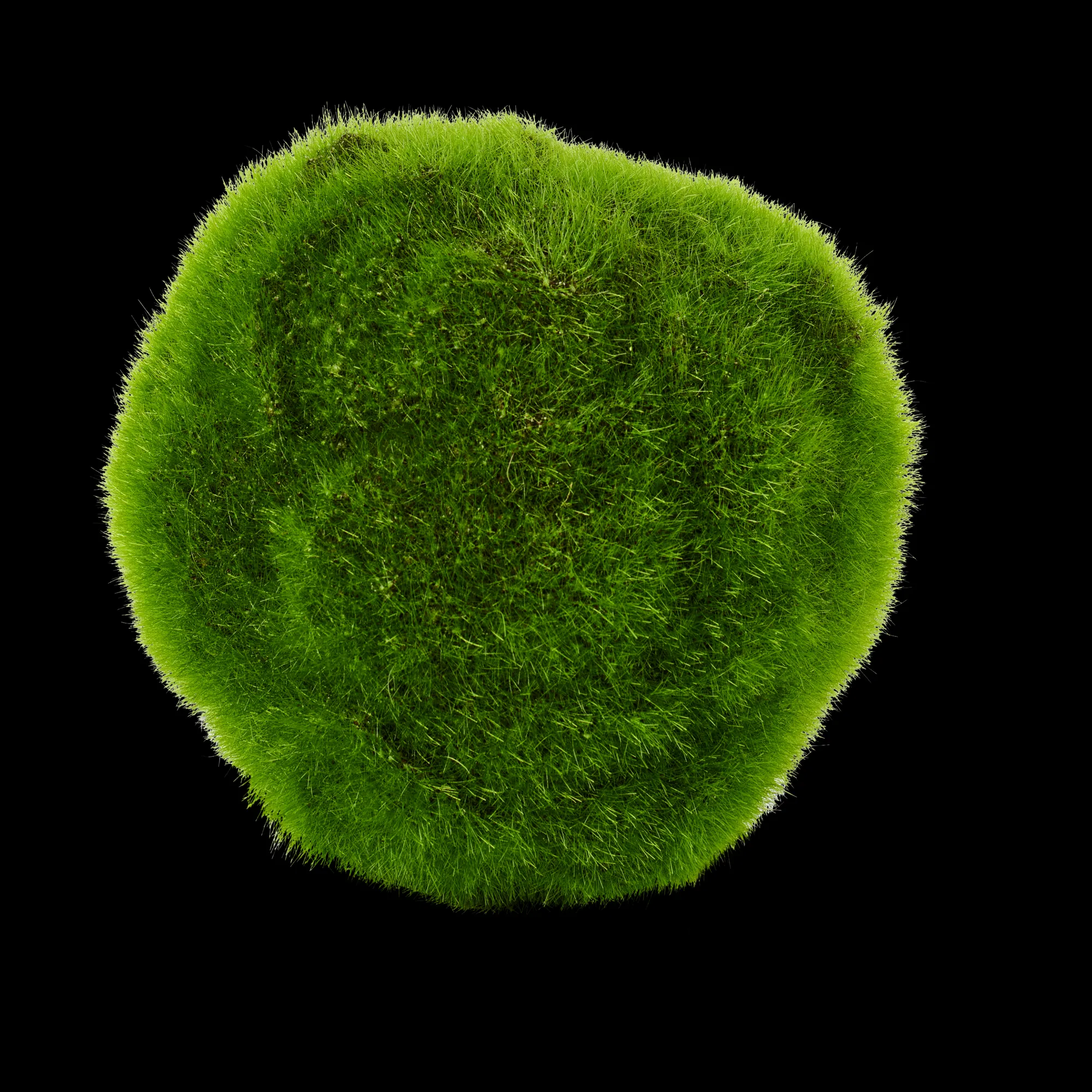 Hot CASA Moss Sfera Di Muschio Verde