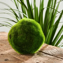 Hot CASA Moss Sfera Di Muschio Verde