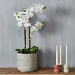Discount CASA Orchid Orchidea In Vaso Bianco