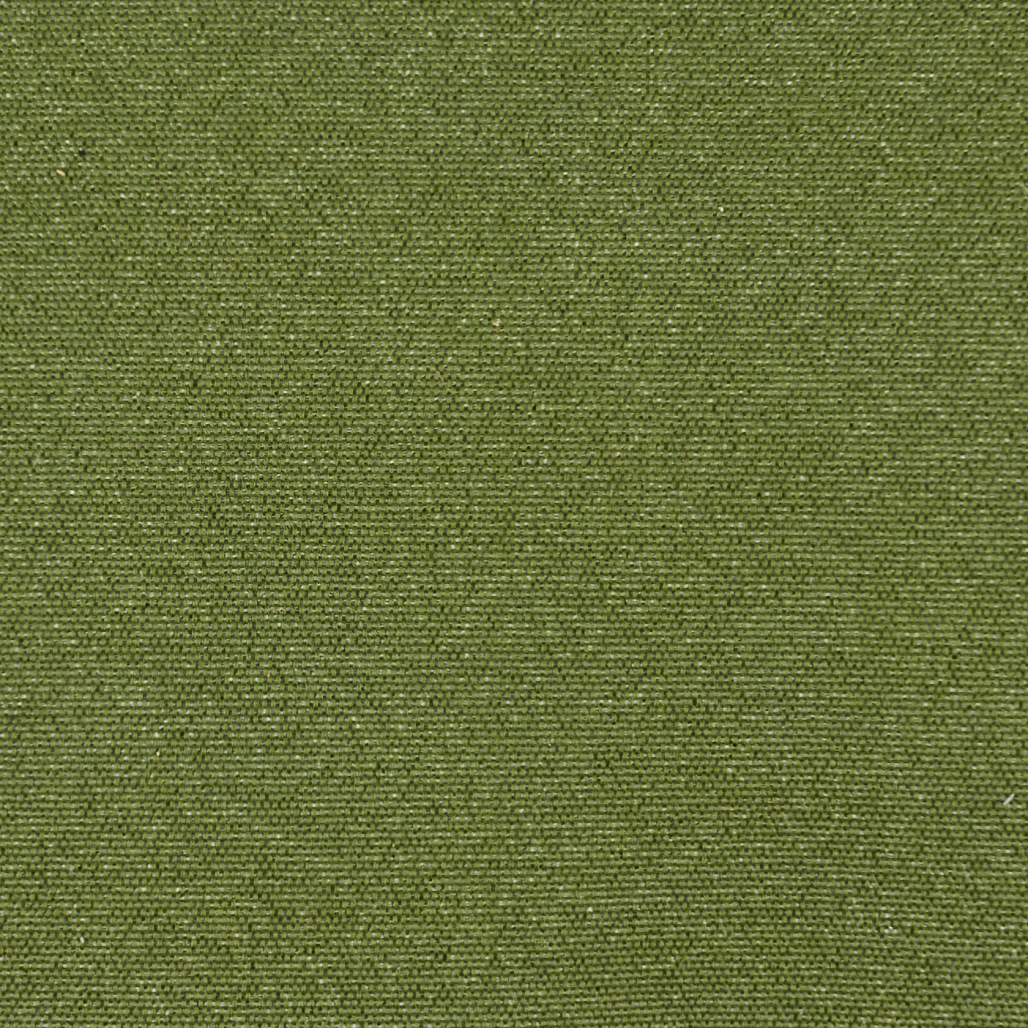Hot CASA Pauletta Luxe Verde