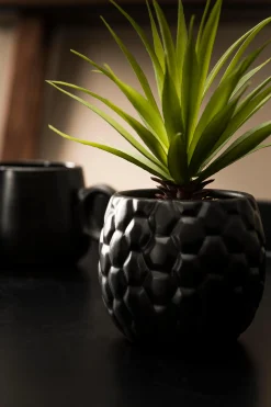 Sale CASA Pina Pianta D'Ananas In Vaso Nero
