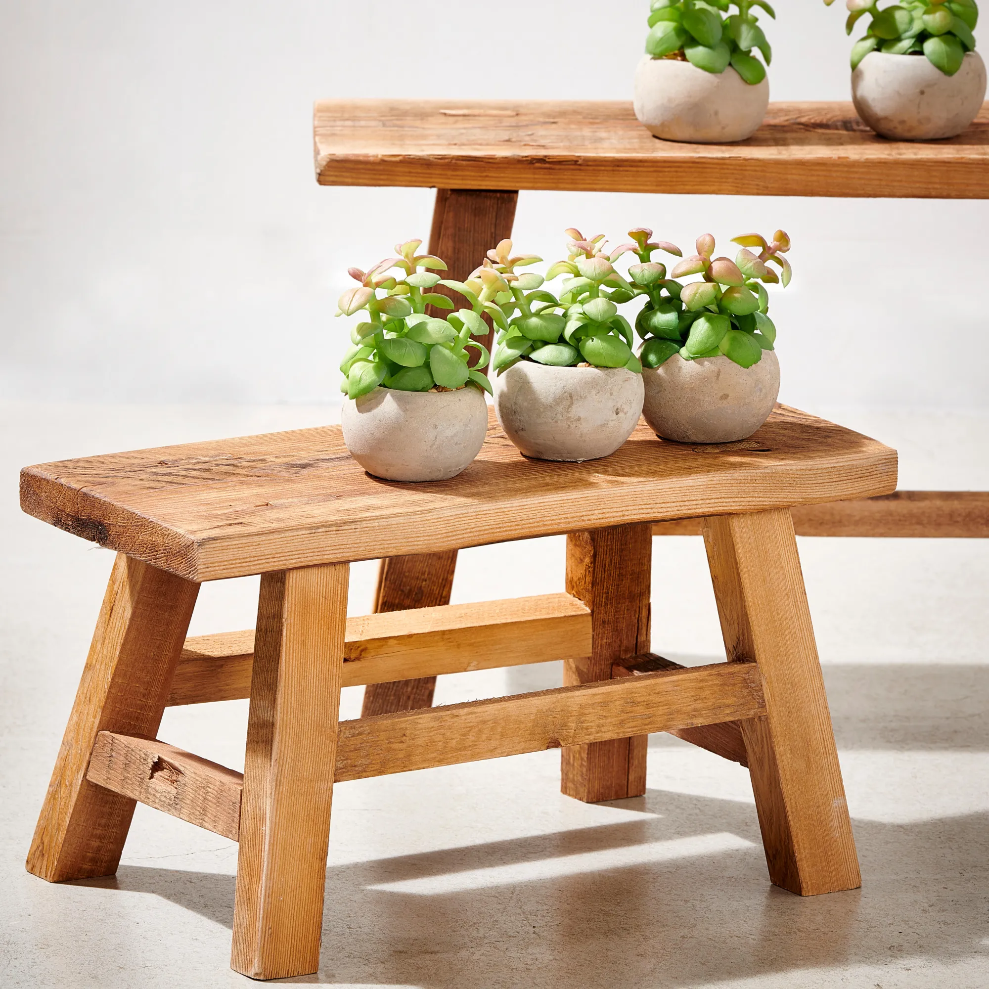 Hot CASA Recycle Portapiante Naturale