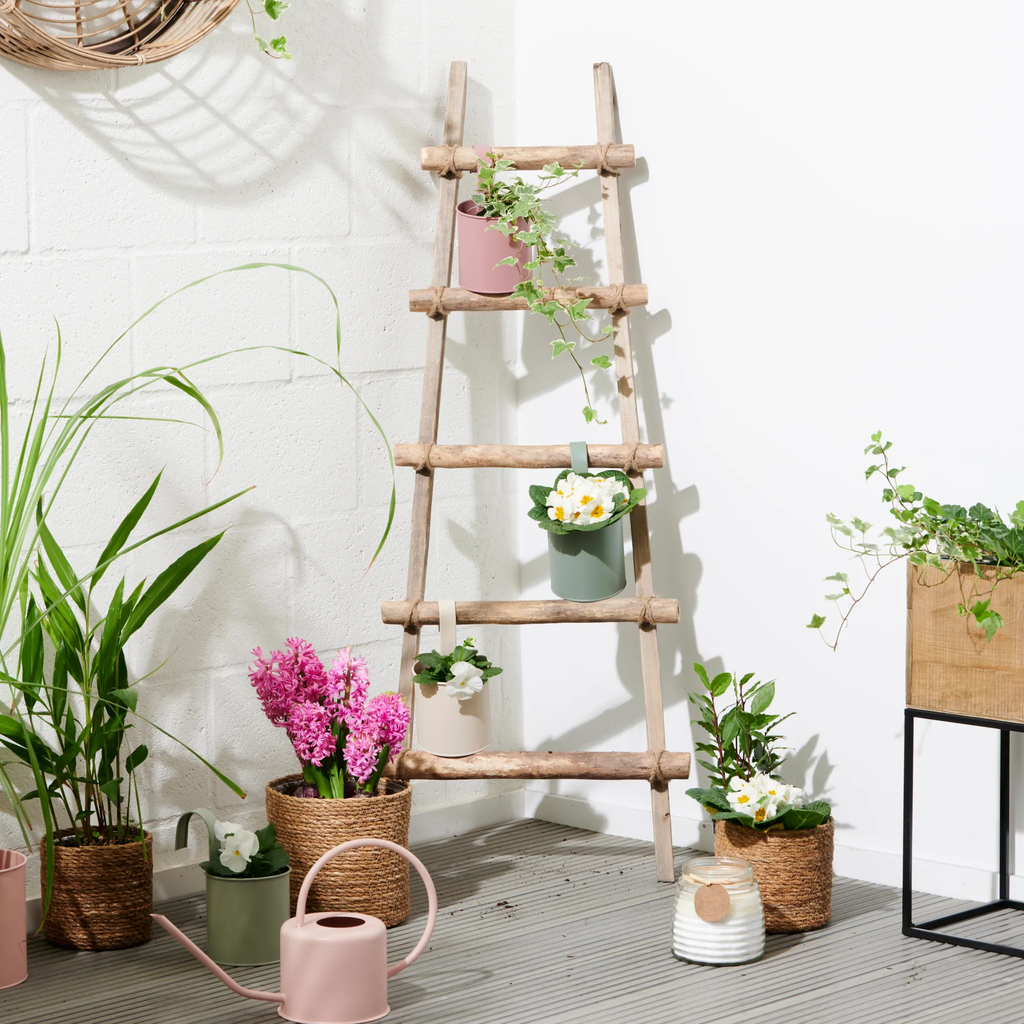 Online CASA Recycle Scaletta Naturale