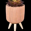 Discount CASA Stripe Succulente Finto In Vaso Multicolore