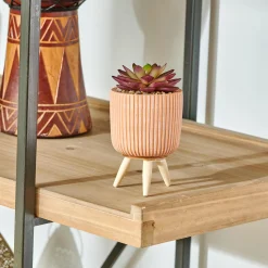 Discount CASA Stripe Succulente Finto In Vaso Multicolore