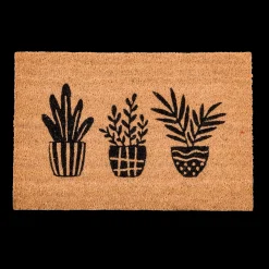 Best CASA Succulent Zerbino Naturale