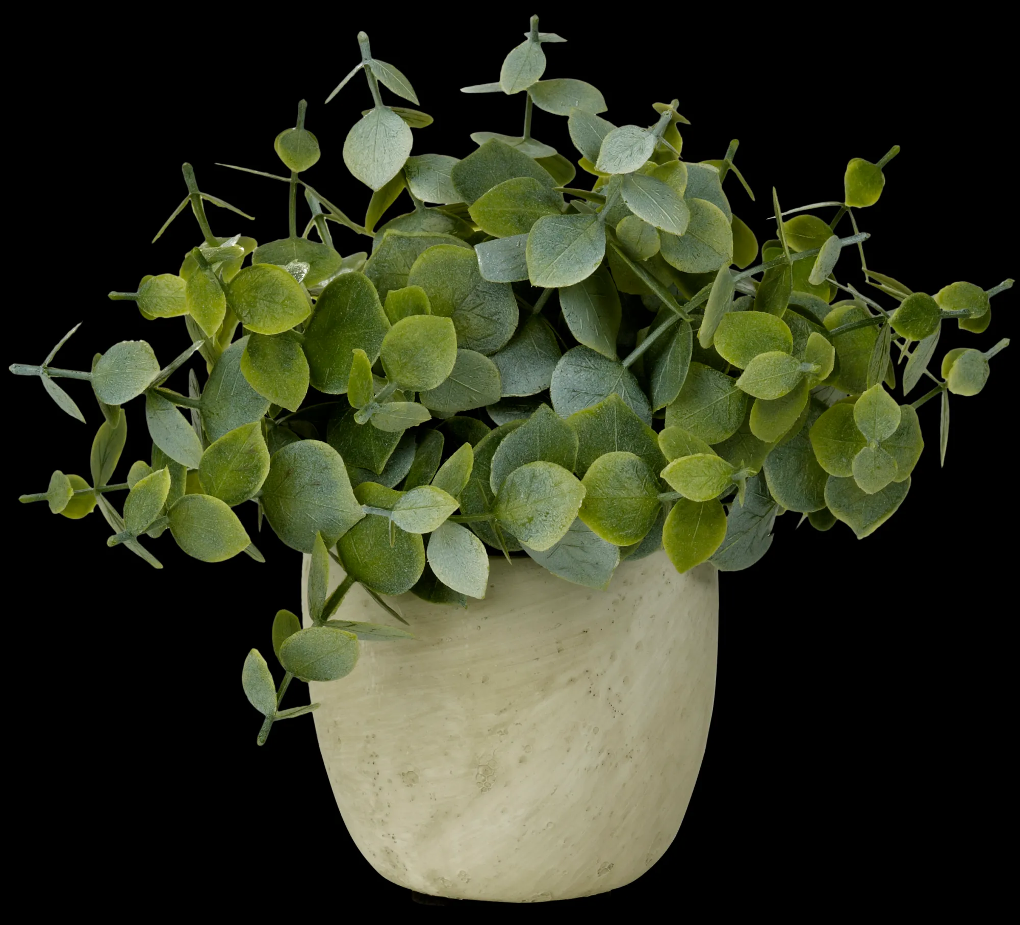 Sale CASA Terra Pianta In Vaso Bianco, Verde