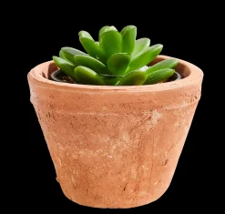Hot CASA Tierra Vaso Per Piante Terracotta