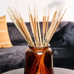 Best CASA Typha Canna Palustre Set Di 15 Naturale