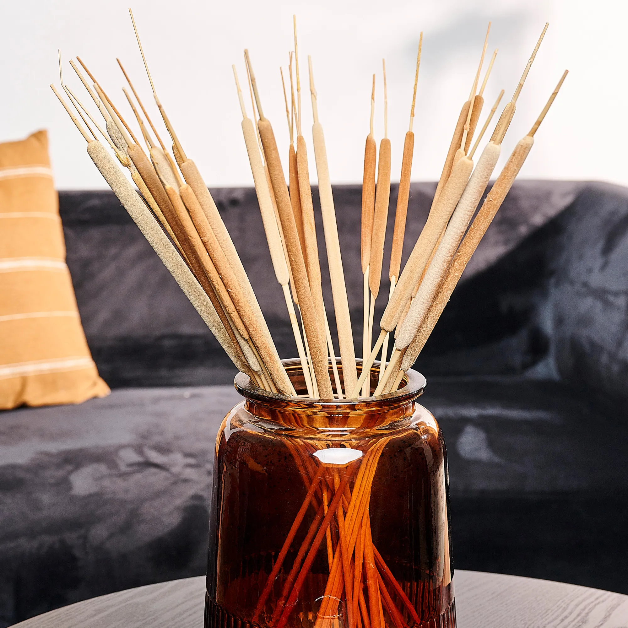 Best CASA Typha Canna Palustre Set Di 15 Naturale