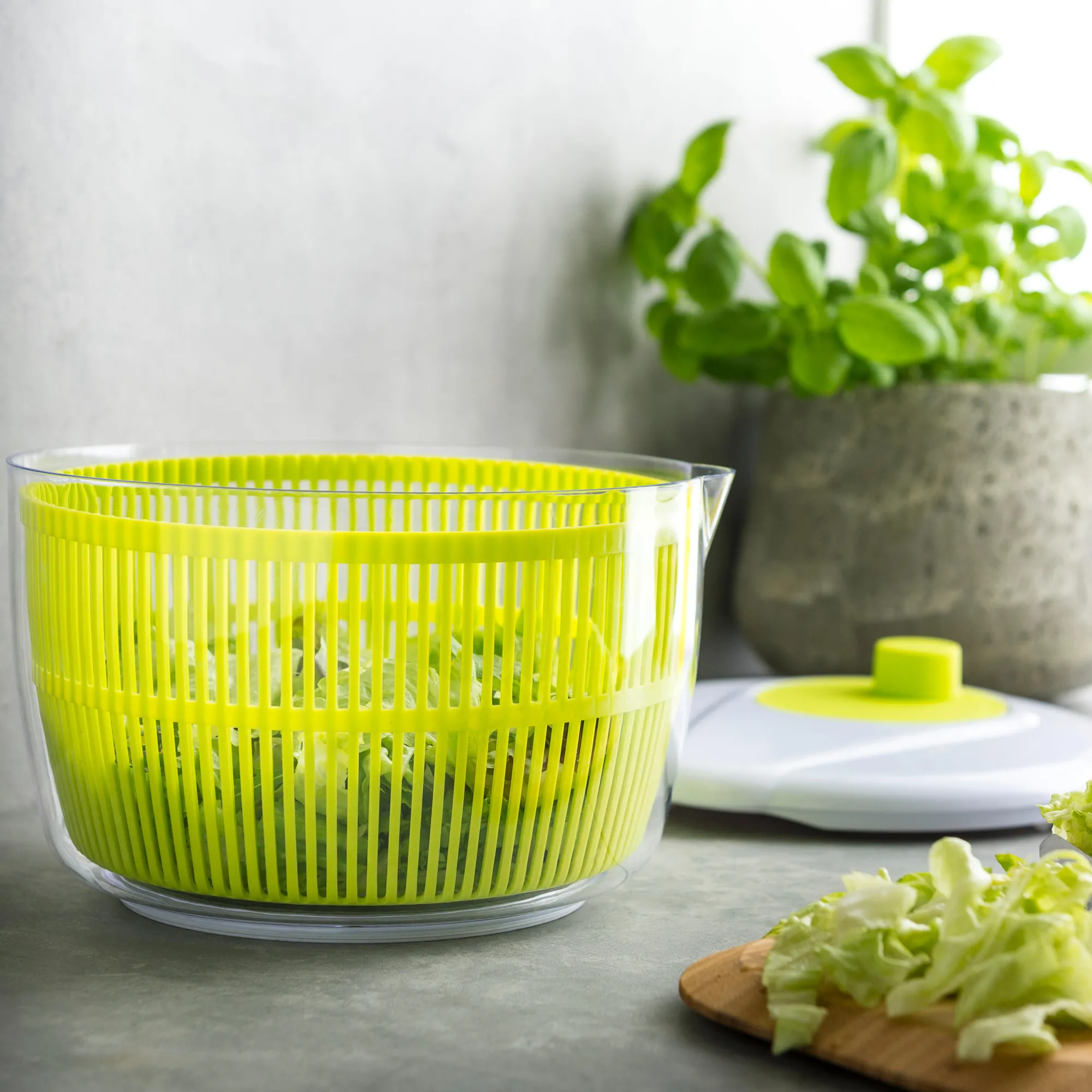 Clearance CASA Vida Verde Centrifuga Per Insalata Bianco, Verde