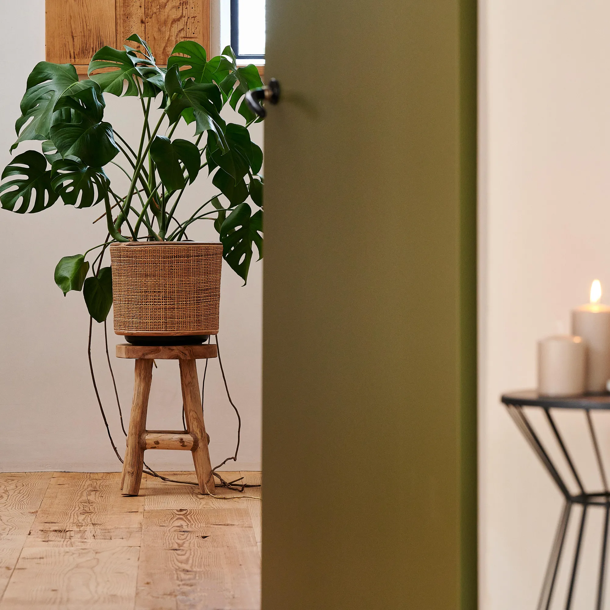 New CASA Webbing Vaso Per Piante Naturale